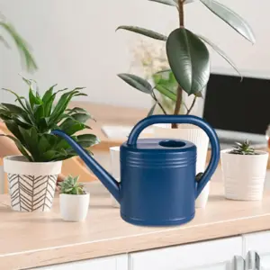 Stylish 1L and 2L Gardening Watering Can 18 Sff06355a702b447e841303a361365f4cF