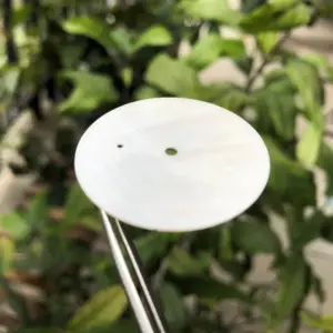 Sff291654ab47471ea17c7e191cb66ddbg