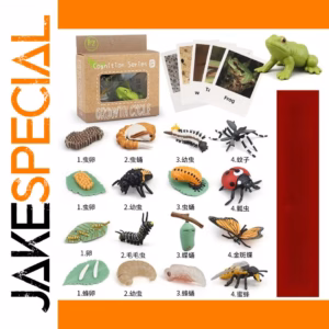 Educational Animal Growth Cycle Model Set (PL127-2401 to PL127-2495)