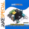TPA3116D2 Digital Audio Amplifier Module 100W