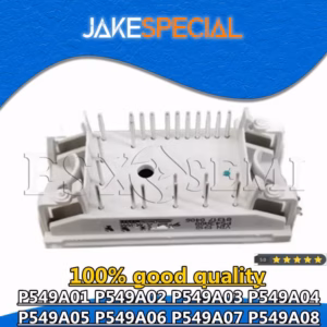 P549A01 Electronic Module for Custom Projects