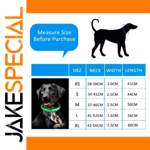 27e232a232cf4d3690b0d8a3 processed image