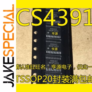 CS4391 Integrated Circuits Set of 10PCS TSSOP20
