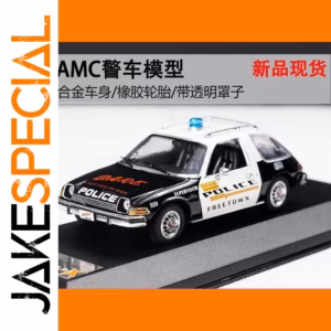 1:43 Scale Diecast 1975 AMC Pacer Police Car