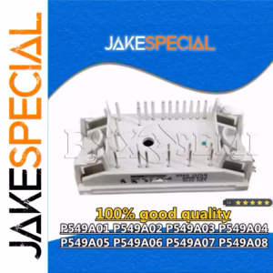 P549A01 Electronic Module for Custom Projects