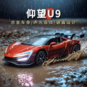 WELLY U9 1:24 Scale Alloy Model Car