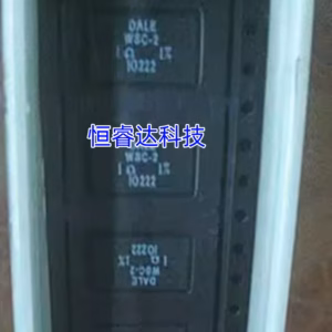10PCS WSR-2 1Ω Resistors with 1% Tolerance