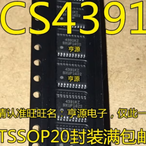 CS4391 Integrated Circuits Set of 10PCS TSSOP20