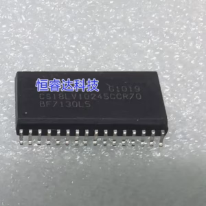 CS18LV10245CCR70 Logic IC 10PCS Set