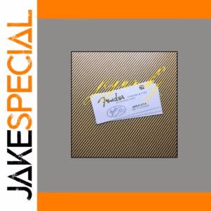 3-Piece Fender Stratocaster Decal Set