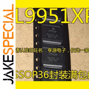 L9951XP and L9958XP Chipset Collection 1-5PCS